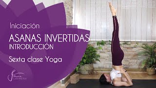 Sexta clase de Yoga principiantes Posturas invertidas Sarvangasana y Halasana la vela y el arado [upl. by Anaejer]