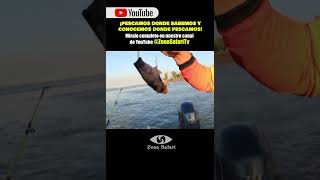 ¡EFECTIVA PESCA PARA APRENDER fishing [upl. by Akeemaj]