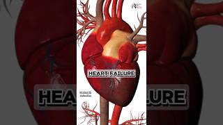 heart failure medical animation 3d short BiologywithAliya [upl. by Dlonyer]