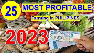 Top 25 Most Profitable Farming in 1 Hectare Farm  Philippines [upl. by Alyos134]