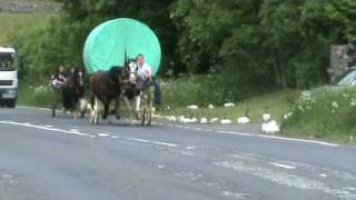 Appleby Horse Fair  Kirky Bank Part 2 [upl. by Urquhart]