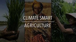 FAO Policy Series Climate Smart Agriculture [upl. by Sadella]