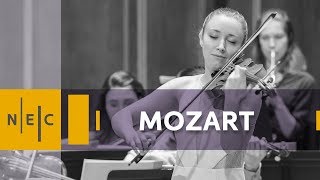 Mozart Violin Concerto No 1 in Bflat Major [upl. by Gladine]