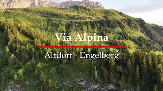 Hiking The Via Alpina Trail 7Altdorf  EngelbergSwitzerland 4k [upl. by Halsted]