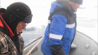 Seal Hunting In Nunatukavutwmv [upl. by Sirahs]