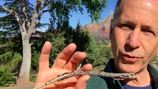 The Sedona Method The Fifth Way of Letting Go Explained [upl. by Ahsinuq]