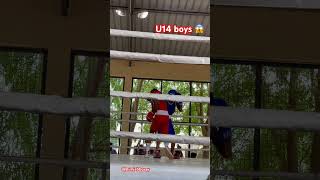 U14 boys 🥊🥶 gameplay motivation boxing traintopunch descipline explore shorts [upl. by Marlon]