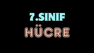 HÜCRE VE ORGANELLERİ  7Sınıf 2Ünite Kısım1 2025 [upl. by Niwre]