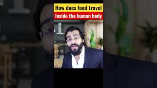 How does food move in the intestine [upl. by Tucker]