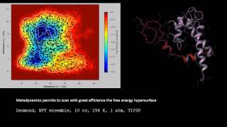 metadynamics on Annexin I [upl. by Anyah509]