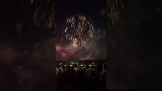 東京湾 幕張ビーチ花火 花火大会 花火 fireworks japanesefireworks 幕張新都心 [upl. by Moises]