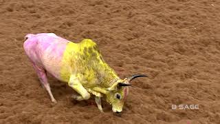 VIRALIMALAI JALLIKATTU  2019 [upl. by Ecinej]