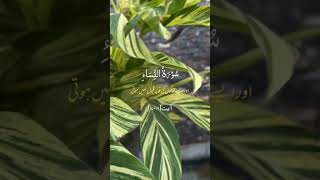 Surah AnNisa Urdu Translation  Ayat 1718 surahannisa islam shorts [upl. by Ardyth]