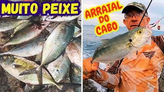 PEIXE em TODAS as ISCAS  JIG HEAD JUMPING JIG PLUG DE MEIA AGUA PESCARIA em ARRAIAL do CABO RJ [upl. by Anilok]