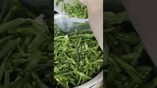 Make Your Own French Cut Green Beans for Canning greenbeans canning [upl. by Gavrielle]