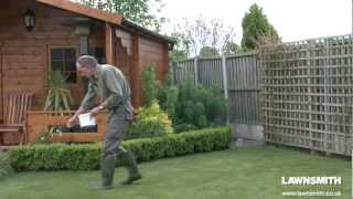 How to Over Seed a Lawn after Raking or Scarifying [upl. by Eem]