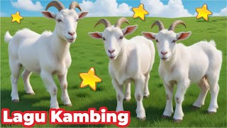 KAMBING  KAMBING LUCU LOMPAT  KAMBING LUCU MELET  POTONG SAPI LUCU 2024  SAPI LUCU SAPI JOGET [upl. by Ecnadnac364]