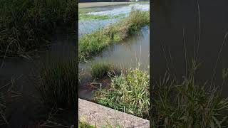 Inondations en Essonne  13 octobre 2024 [upl. by Etteuqal]