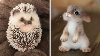 可愛い動物の赤ちゃんたち cute baby animals [upl. by Eads]