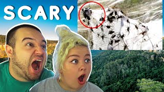 Americans React to 17 Scariest Animals in Australia  COUPLE REACTION VIDEO [upl. by Aynwat]