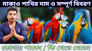 ম্যাকাও পাখির দাম সহ সম্পূর্ণ বিবরণ macaw parrot price in India 🔥🔥 [upl. by Erick]