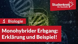 Monohybrider Erbgang Erklärung und Beispiel  Biologie verstehen mit dem Studienkreis [upl. by Attenra]