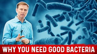 Friendly Bacteria Why You Really Need And how it Helps – Dr Berg [upl. by Claudie]