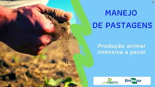 Produção animal intensiva a pasto  Manejo de pastagens  Série Pasto Certo [upl. by Adnolrehs417]