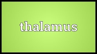 Thalamus Meaning [upl. by Wolfgram]