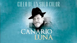 Canario Luna amp NTVG  Cielo De Un Solo Color IA COVER [upl. by Jeth710]