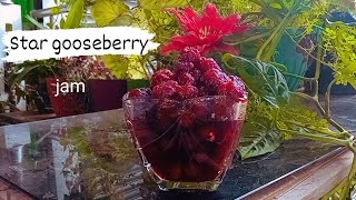 Star Gooseberry jam  simple and easy Recipe [upl. by Oralie]