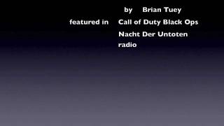 UHF Call of Duty Black Ops  Nacht radio nazi zombies Brian Tuey [upl. by Rollins]