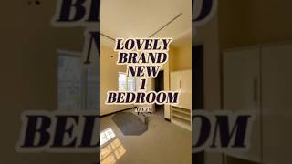 Inside Abujas Newest OneBedroom Apartment  A Sneak Peek [upl. by Heindrick]