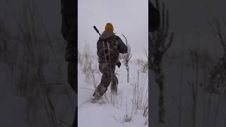 Silent But Deadly Hunting Mule Deer with a Suppressor [upl. by Inan]