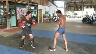 Treinamento Duro de Muay Thai [upl. by Arreyt]