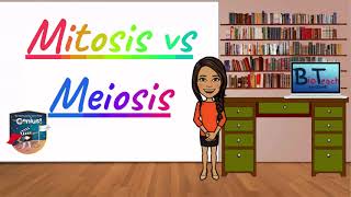 Mitosis vs Meiosis A level BiologyBTEC Applied Science  BioTeach [upl. by Turnheim]