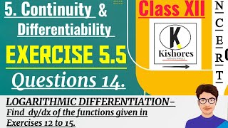 Exercise 55 Q14 Class 12 Maths  differentiation  maths [upl. by Burne]