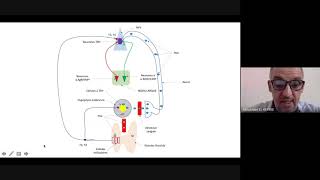 Physiologie de la Thyroïde  SVI S6 [upl. by Llerdna]