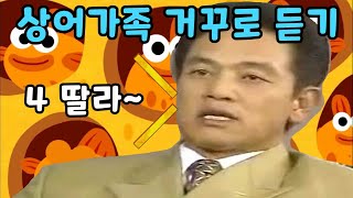 상어가족 역재생 하면 역재생 거꾸로 듣기 ㅋㅋ [upl. by Suiradal364]