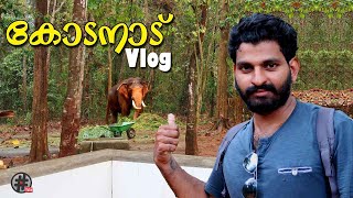 Kodanad Elephant Sanctuary and Deer park vlog  കോടനാട് ആന പരിശീലന കേന്ദ്രം [upl. by Ahsinom772]