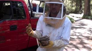 Gold Miner Pest Control Yellow Jacket Removal Part 2 [upl. by Yoj]