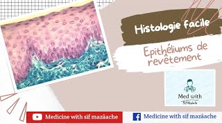 1 Les Epithéliums de Revêtement  Histologie 1ère MED [upl. by Oria]