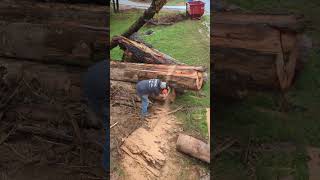 Stihl 500i VS BIG Red Oak Log [upl. by Anhej]