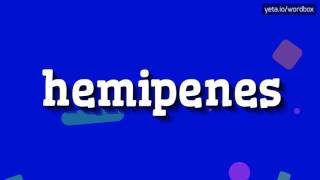 HEMIPENES  HOW TO PRONOUNCE IT [upl. by Samuele52]