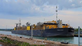 Petite Forte amp St Marys Cement Downbound at Lock 2 May 20 2024 [upl. by Leugim]