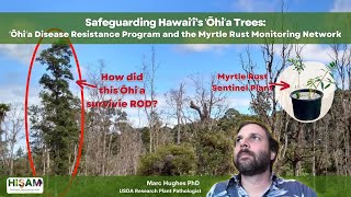 Safeguarding ʻŌhiʻa Trees The ʻŌhiʻa Disease Resistance Program amp Myrtle Rust Monitoring Network [upl. by Leandra]