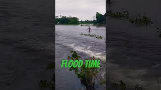 Flooding time foryou viralvideo youtubeshorts [upl. by Merrile]