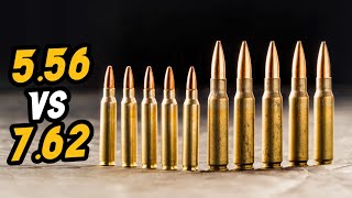 556 mm vs 762 mm AMMO  Which is the Better Long Distance Round [upl. by Torrence769]