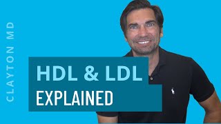 Understanding HDL amp LDL Cholesterol – Cholesterol Ratios Explained [upl. by Aloivaf]