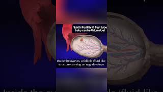 1 Follicular development Week 1 Day 1 pregnancyjourney sakthifertility udumalpet [upl. by Dulsea]